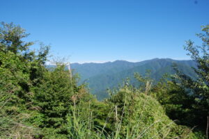 IMGP3814