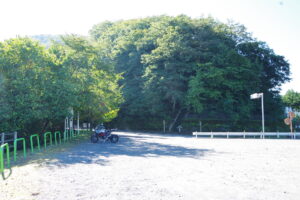 IMGP3819