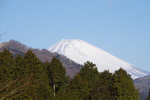 IMGP4135