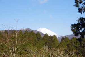 IMGP4136