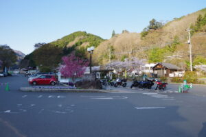IMGP4273