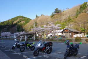 IMGP4274