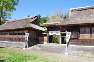 IMGP4281