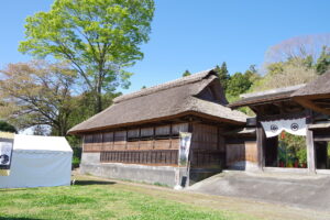 IMGP4282