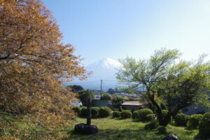 IMGP4287