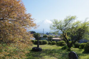 IMGP4288