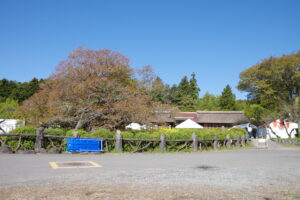 IMGP4296