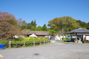 IMGP4299