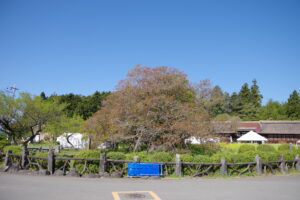 IMGP4300