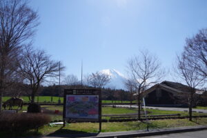 IMGP4302