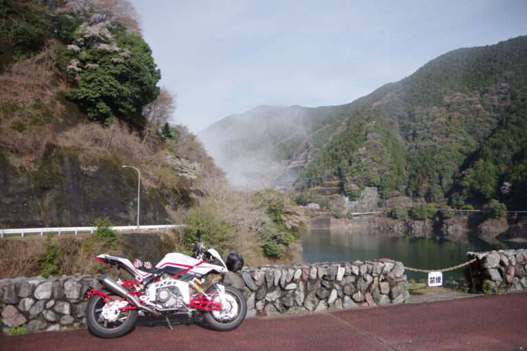 桜を見つつ朝活