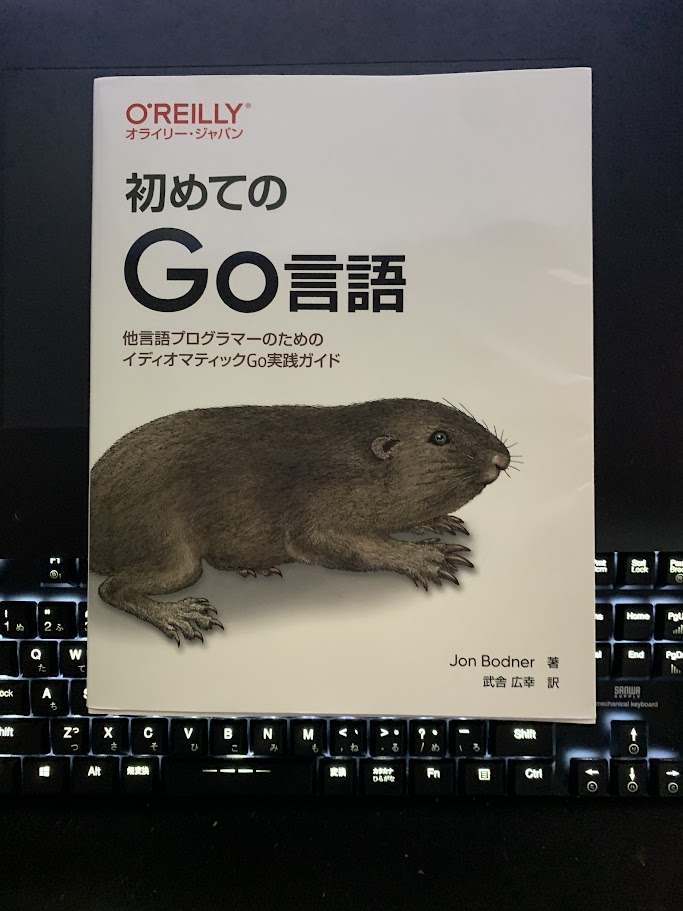 Read more about the article 初めてのGo言語